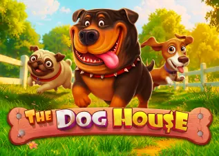 เว็บตรง สล็อต The Dog House ทดลองเล่นฟรี